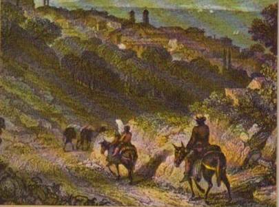 Paesaggio calabrese- Mulattiera