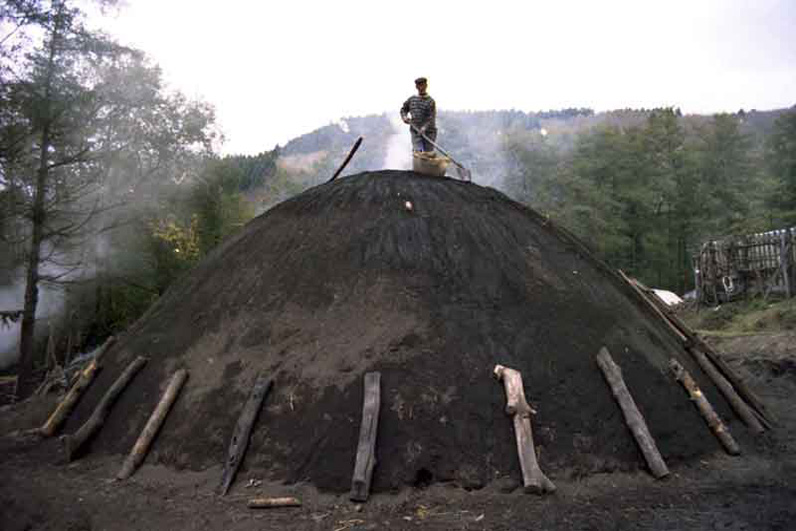 La carbonaia ricperta con la terra