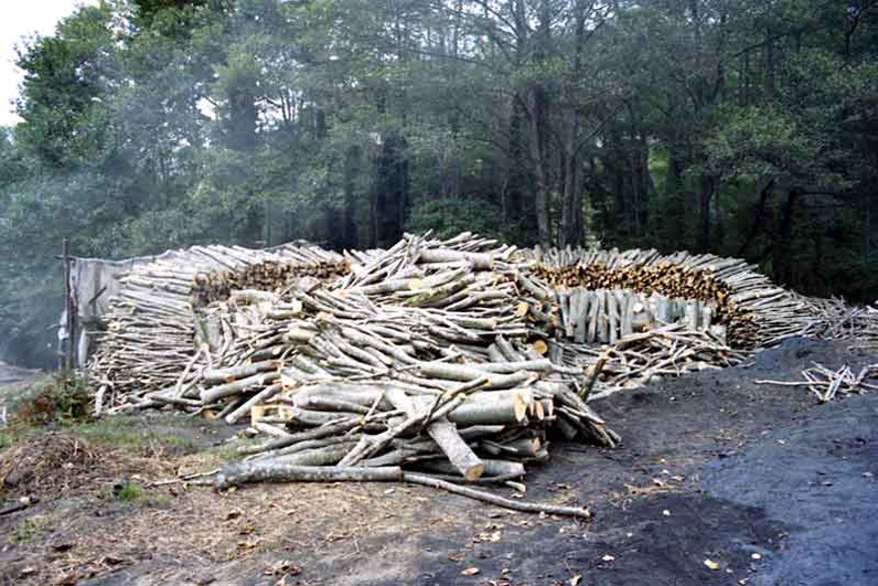 La costruzione della carbonaia