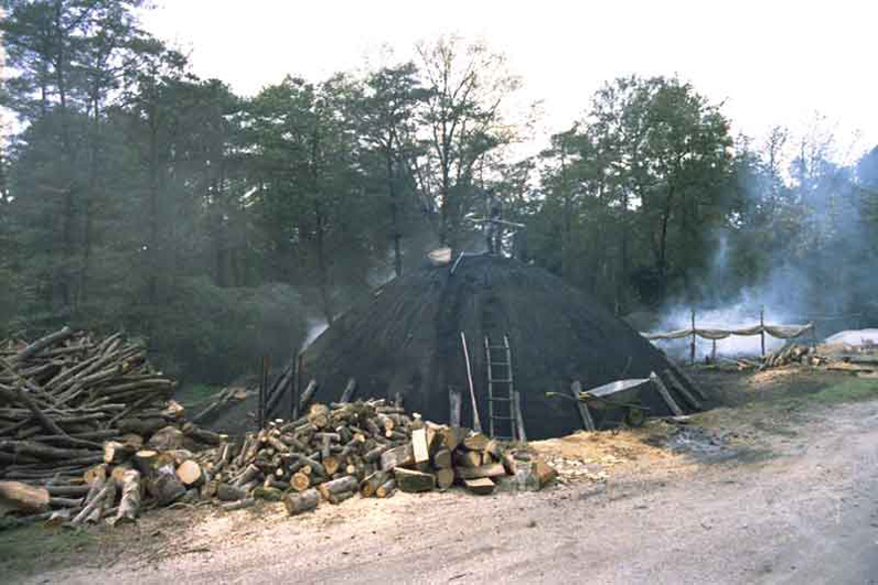 La costruzione della carbonaia