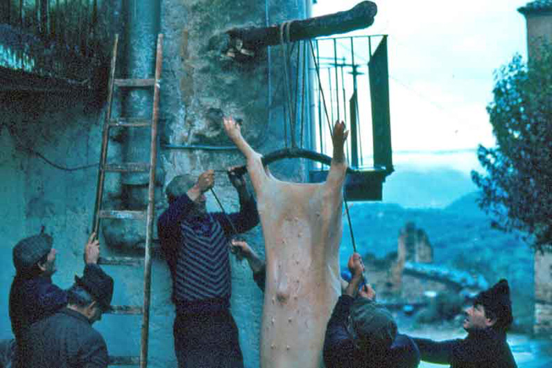 La tradizione del maiale