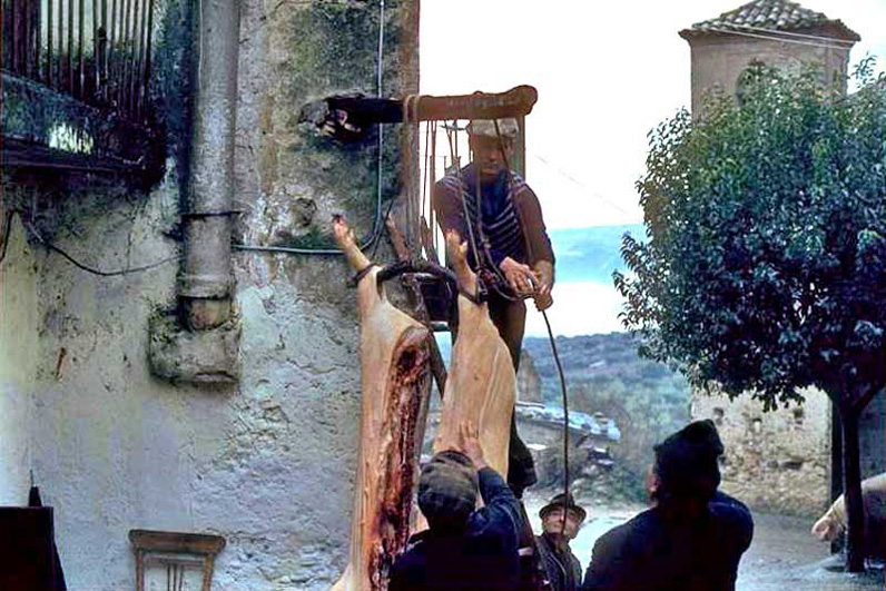 La tradizione del maiale