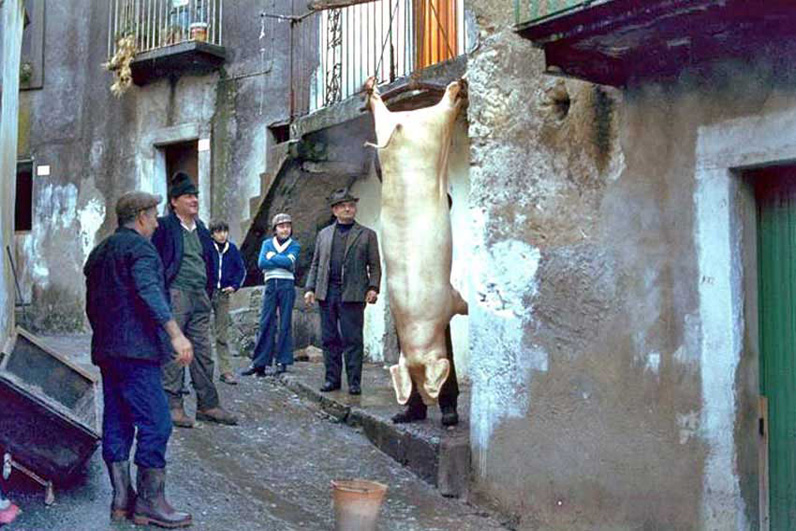 La tradizione del maiale