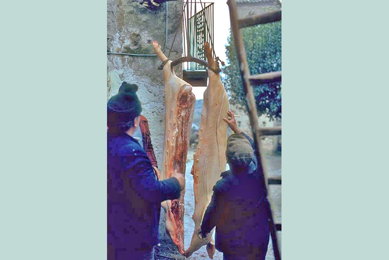 La tradizione del maiale