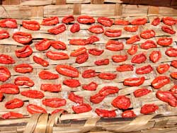Pomodori al sole