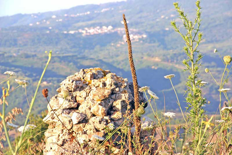 Ruderi