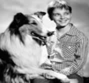 Lassie