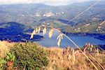 Rocca Angitola - Vista del Lago