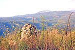 Rocca Angitola - Vista di Francavilla Angitola e Filadelfia