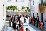 La processionea