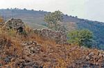 Veduta dei resti di Rocca Angitola