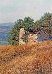 Torre